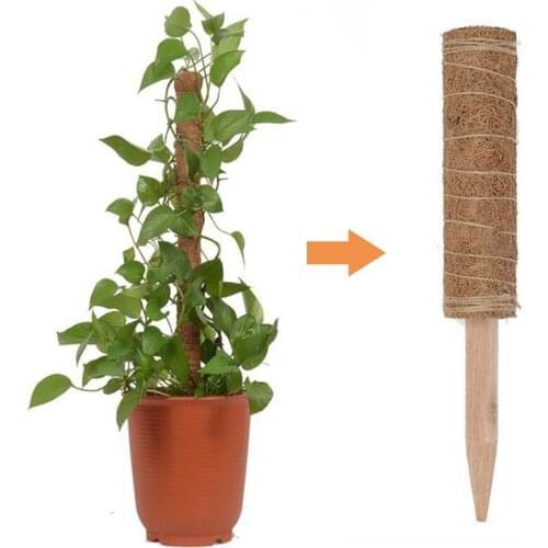 2pcs coconut palm sticks green radish coconut palm stick plants climbing pillar balcony climbing frame home planting gadgets