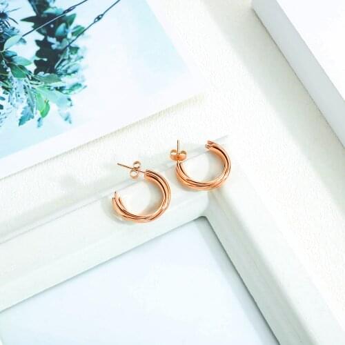 Earrings For Women Korean Fashion Mature Temperament Ins Stainless Steel Rose Gold Fashion All-Match Net Red Earrings Jewelry
