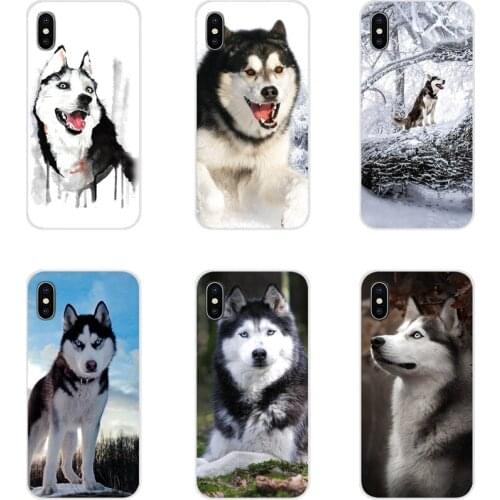 For Huawei G7 G8 P8 P9 P10 P20 P30 Lite Mini Pro P Smart Plus 2017 2018 2019 Silicone Covers Alaskan Malamute Siberian husky dog