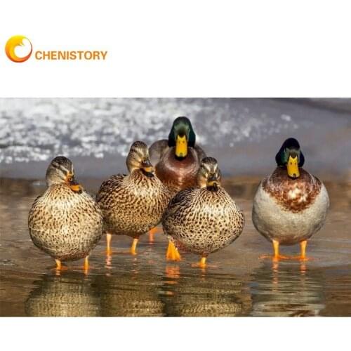 CHENISTORY Painting By Numbers Duck Adult On Canvas With Frame Acrylic Paint Kit Animal Diy Oil Picture Coloring By Number Decor