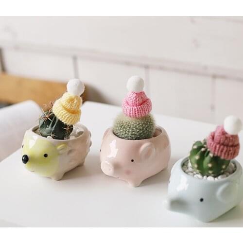 Mini Animal Ceramic Pot Cute Hedgehog Pig Flowerpot Succulent Cactus Plant Pot Home Decor Garden Accessories Office Decor Pots