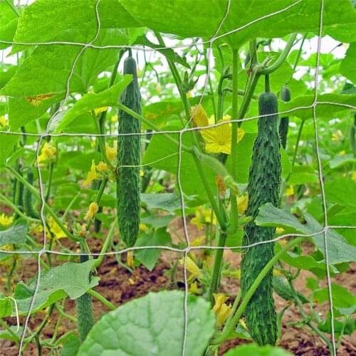 Garden Plants Climbing Net Polyester Rattan Net Cucumber Vine Flower Netting Support Net Grow Holder Garden Trellis Netting