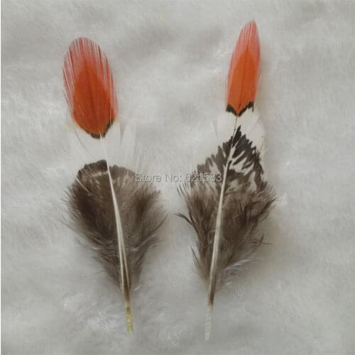50Pcs/Lot 2-4 " 6-10CM LADY AMHERST FEATHERS with Red Tips Craft Material for hats, headdresses, hair clips, and headbands