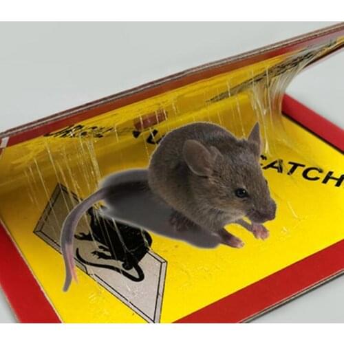 Mouse Board Sticky Mice Glue Trap High Effective Rodent Rat Snake Bugs Catcher Pest Control Reject Non-toxic Eco-Friendly