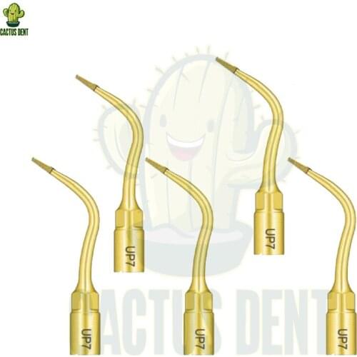 Dental Instrument Rotary Tips Ultrasurgery Bone Surgery Ultrasonic Surgery Tips Insert UP7 Root Planing / Piezo Surgery Mectron