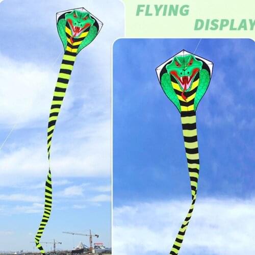 Large Snake Kite Kite With Handle Line Outdoor Toys For Adult Bird Eagle Kite Animal Weifang Kite