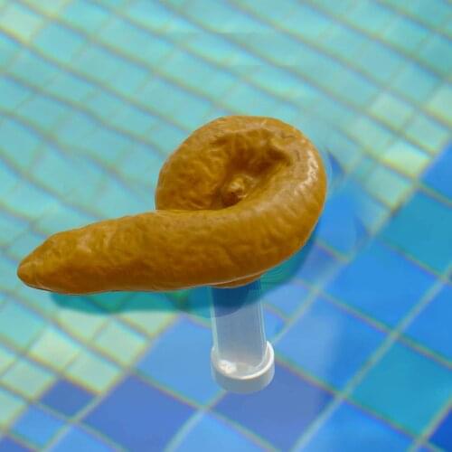 Funny Pool Feces Thermometer Swimming Floating Poop Meter Parent-child Outdoor Interactive Spoof Toy
