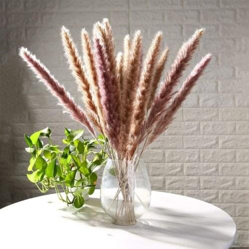15Pcs Small Reed Plumes Bouquet Natural Dried Flower Pampas Dog Tail Grass Phragmites Plants Wedding Bunch Home Garden Party