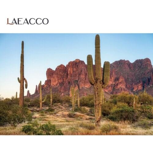 Laeacco Cactus Desert Shrub Mountain Hillside Baby Natural Scenic Photocall Photo Background Photography Backdrop Photo Studio