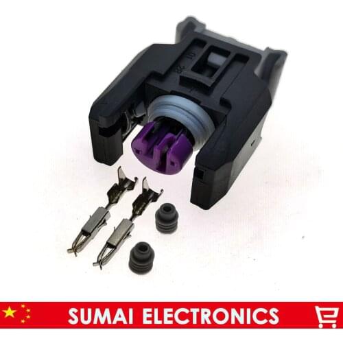 Sample,13816706 2Pin Auto fuel spray nozzle/oil atomizer plug,Car diesel common rail injector plug for Delphi connector