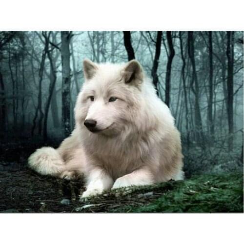 5D Diy Diamond Painting Cross Stitch White wolf Diamond embroidery pattern Crystal Round painting Rhinestone Mosaic Picture