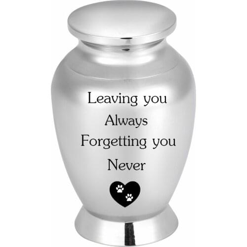 IJU170 2.8 Inches Stainless Steel Pet Urn for Dog Cat Ashes Remembrance,Loss of Pet/Human Cremation Mini Keepsake Urns