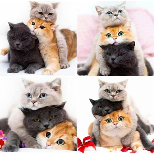 AZQSD Diamond Painting Cat Cross Stitch Kits Full Square Drill Handmade Gift Diamond Embroidery Sale Animal Home Decoration