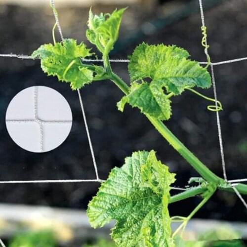 Trellis Net for Plant Heavy-duty Polyester Plant Support Vine Climbing Hydroponics Garden Twine UD88