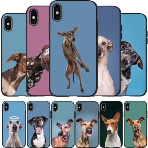 Cute funny dog Black TPU Silicone Soft Phone Case For iPhone 11 12 Pro X XR XS MAX 5 6 7 8 Plus SE 2020