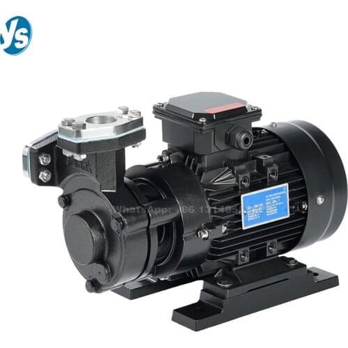 WM-20 Hot Water Circulating Pump Mold Temperature Machine Thermal Oil Pump High Temperature Heat Conduction Water and Oil Pump