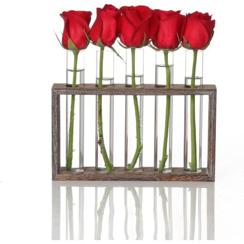 Clear Glass Tube Planter Vase with Vintage Wood Stand Holder for Plants Home