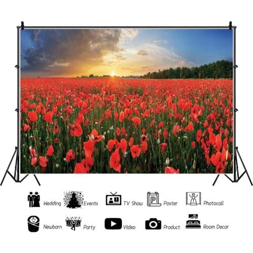 Sunset Over A Sea of Red Flowrers Portrait Photography Backdrop Decor Outdoor Scenery Photo Background Studio Photocall Props