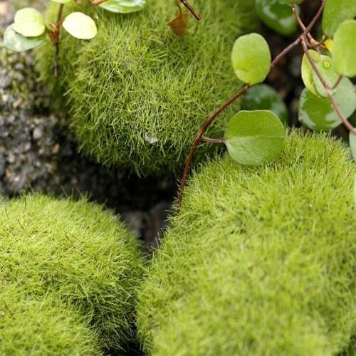 Artificial mini Moss Stones Grass Home Garden Bonsai Decoration For Garden Path Home Decor Micro-landscape decoration