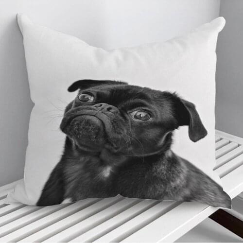 Animals Print Pug Dog Throw Pillows Cushion Cover On Sofa Home Decor 45*45cm 40*40cm Gift Pillowcase Cojines Dropshipping