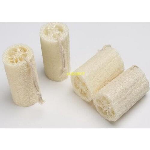 Natural Luffa sponge and Luffa to remove dead skin and kitchen utensils