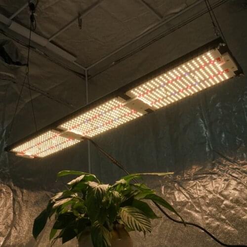 KingBrite 320W Led Pre-Assembled Samsung lm301h qb288 V4 Board Cree XP-E2 660nm UV IR IP65 Waterproof Quantum Plant Grow Light