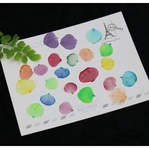 60pcs Pressed Dried Hydrangea Petals Filler Flower For Epoxy Resin Jewelry Making Bookmark Phone Case Face Makeup Nail Art DIY