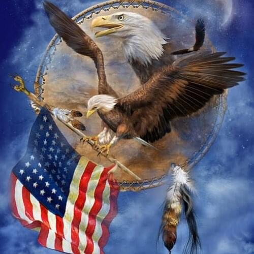 JMINE Div 5D american flag eagle Full Diamond Painting cross stitch kits art High Quality Animal 3D paint by diamonds