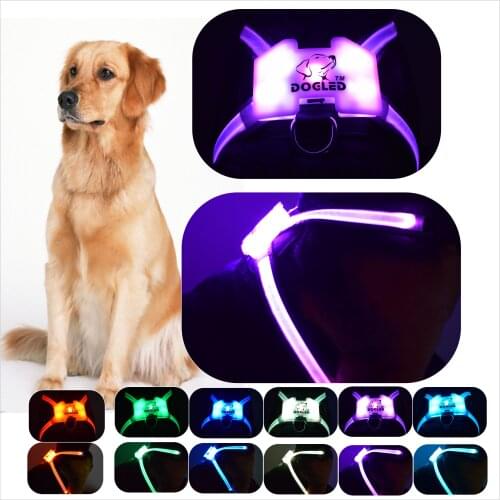 CC SIMON dog collar glowing dog accessories for large Reflective Harness for Dogs