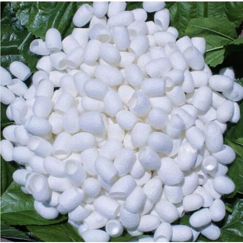 100pcs/lot 100% Natural face care brush wash face silkworm cocoon brush face cleanser free shipping