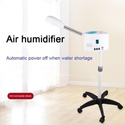 Hot Thermal Sauna Spa Face Mist Ozone Facial Steamer Humidifier Pores Cleanser Sprayer Face Steam Massager Skin Care Equipment