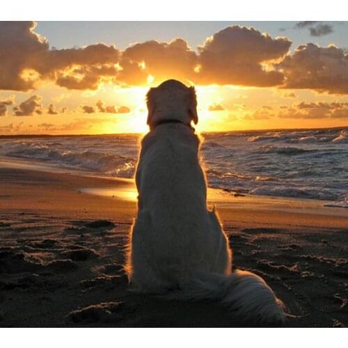 B460 11CT/14CT/18CT/25CT/28CT night snowing patterns Counted Cross Stitch DIY Cross Stitch Kits Embroidery Needlework Sets