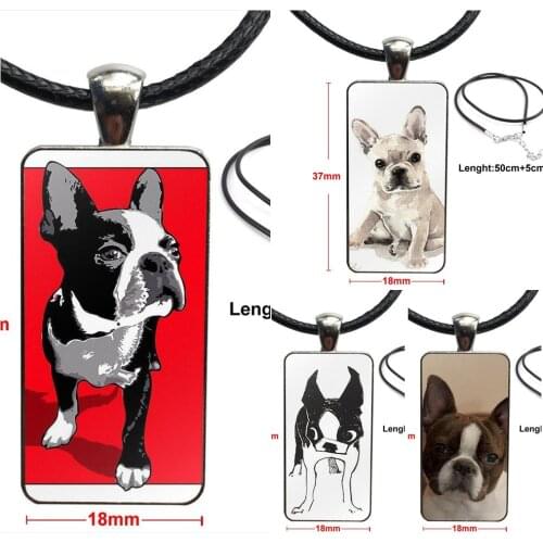 Boston Terrier Dog In Green For Girls Best Gift Glass Cabochon Choker Pendant Rectangle Necklace Steel Color Jewelry