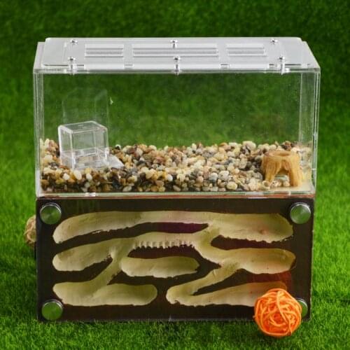 Yellow Three-dimensional Gypsum Ant Farm Underground City Ant Nest Pet Ants Breeding Breeding Moisturizing Nest