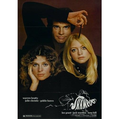 6style Choose Shampoo Movie Art Film Print Silk Poster for Your Home Wall Decor 24x36inch