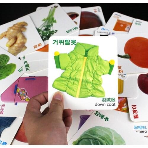 Baby Enlightenment Children Educational Korean Cognitive Card Vegetables/Fruit/Knowledge Cards Montessori Materials Korean Games