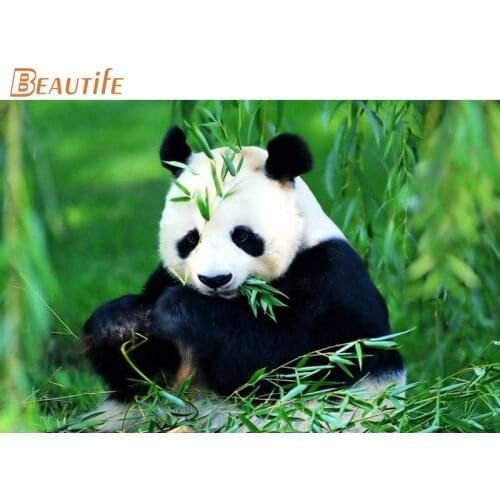 Hot Sale Custom panda Poster Home Decoration Fashion Silk Fabric Wall Poster Custom Poster