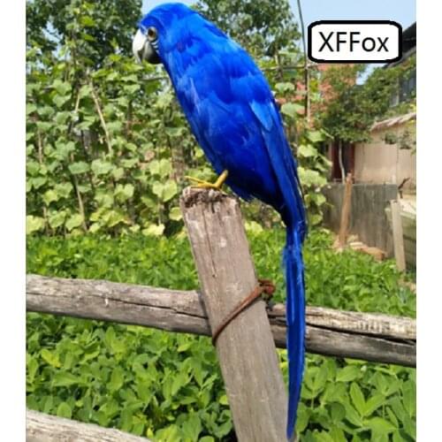 New real life dark blue parrot model foam&feather simulation parrot bird gift about 42cm xf0218