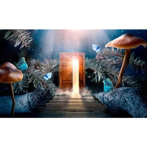 JMINE Div 5D Forest mushroom Secret Wooden Door Full Diamond Painting cross stitch kits art Scenic 3D paint by diamonds