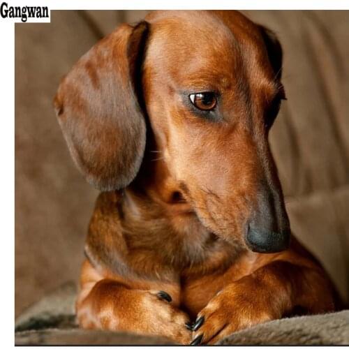 Dachshund Dog pattern diamond painting rhinestones full square round drill diamond embroidery mosaic cute puppy cross stitch art