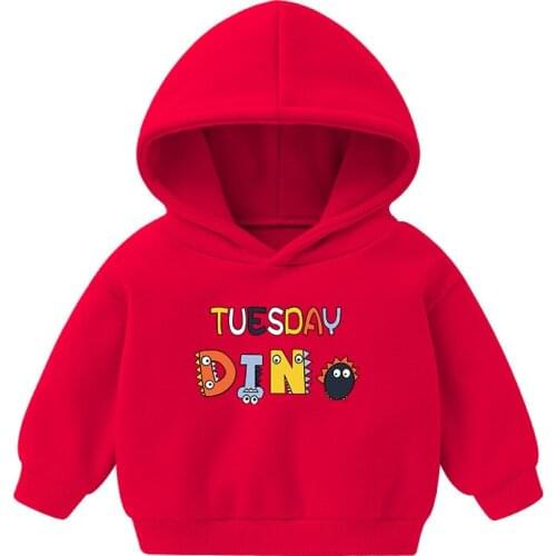 Autumn Early Winter Hoodies Coat Toddler Baby Kids Boys Girls Clothes Hooded Solid Plain Hoodie Sweatshirt Tops