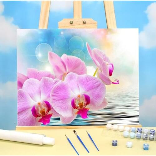Flower Orchid Coloring By Numbers Painting Package Oil Paints 40*50 Painting On Canvas Home Decoration For Handiwork