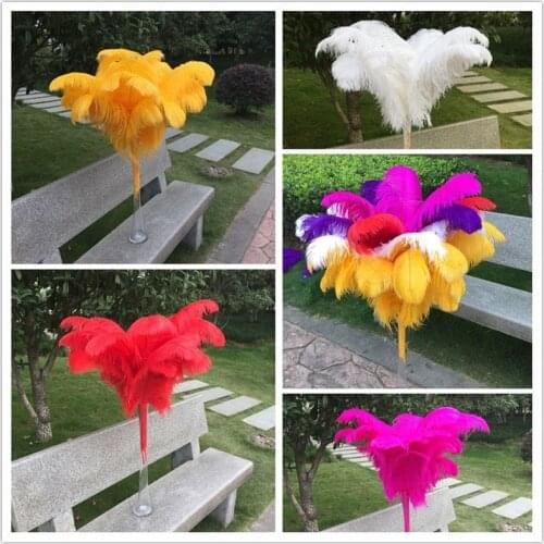Sale 50pcs/lot Beautiful Ostrich Feather 18-20 Inch(45-50cm) Wedding for Carnival Home Jewelry Accessories Plumas