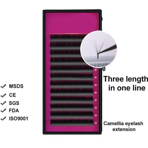 False Individual Fan Volume Lashes Blossom Eyelash Extension Bloom 3D Mink Magnetic Camellia Fake Eyelashes Extensions