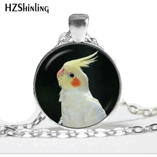 NS-00149 New Fashion glass dome necklace Parrot Necklace Bird Pendant cute animal Glass Picture Pendant HZ1