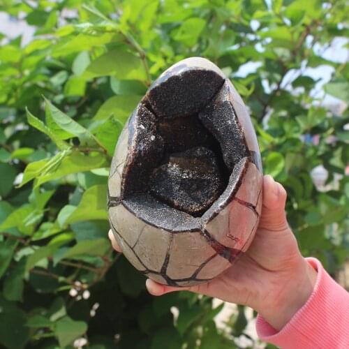 1930g Natural curvature of the furnishing articles Turtle grain stone egg Ball Septarian nodule Fossil Crystal Healing quartz