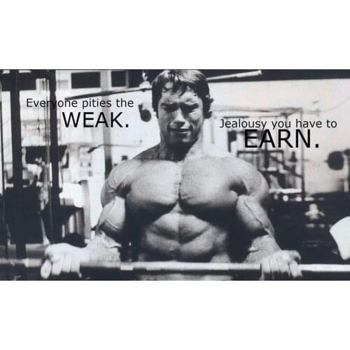 Home Decor -Bodybuilder Mr Olym-Silk Art Poster Wall Sicker Decoration Gift