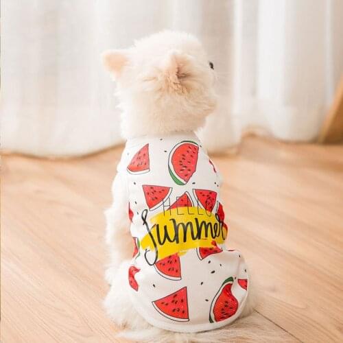 Pet Clothes Pet Summer Vest Teddy Puppy Clothes Thin Section Breathable Bichon Pomeranian Small Dog Cat Puppies Clothes