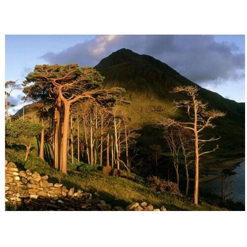 Scenery hill diamond painting trees mountain embroidery stitch landscape rhinestone picture puzzle toys kids drawing wall decor