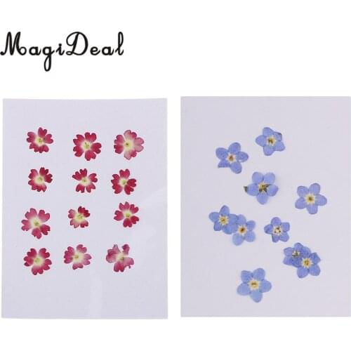 22pcs Mini Natural Dried Flowers Verbena Forget-me-not Embellishment for DIY Pendants Charms Nail Art Decoration